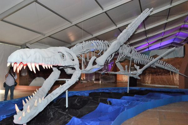 Disfruta del museo itinerante “Encuentro con Dinosaurios” – INFORMATIVO  MÉXICO